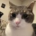 Molly Kline - Facebook