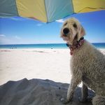 Molly Knott & Co. - @why_knott_molly - Instagram