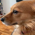 Mollyknott - @mollytheknott - Instagram