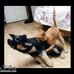 Molly Kohler - Facebook