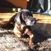 Molly Kramer - Facebook