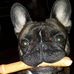 Molly Kramer - Facebook