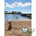 Molly Kramer - Facebook