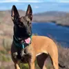 Molly Krupp - @mollykrupp - TikTok