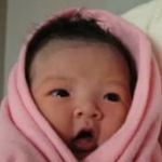 Molly Lam - @mollylam - Instagram