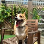 Molly Lam - Facebook