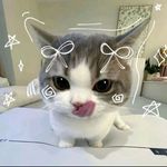 molly - @molly_lam_1319 - Instagram
