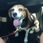 Molly May Lampe - @mollymaylampe - Instagram
