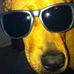 Molly Laughlin - Facebook
