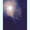 Molly Lawlor - @molly.lawlor2 - TikTok