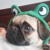 Molly_bb15 - @mollyleon15 - TikTok