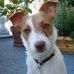 Molly Levin - Facebook