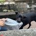 Molly Levin - Facebook