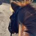 Molly Levin - Facebook