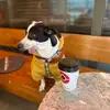 molly - @molly.light - TikTok