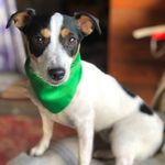 Molly - @molly__lightning - Instagram