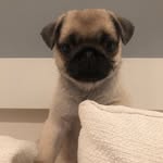 Molly Linders - @mollylinders - Instagram
