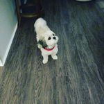 Molly - @mollymillinder - Instagram