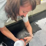 Molly Lippincott - @meguilfo - Instagram