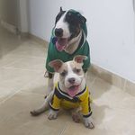 molly_logan - @molly_logan54 - Instagram