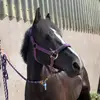 Molly Logan ❤️ - @molly.logan2 - TikTok