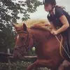 molly lord - @molly.lord58 - TikTok