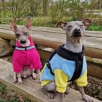 Molly_LordRocky_aht - @molly_lordrocky_aht - Instagram