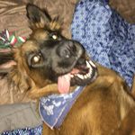 molly lowry - @guacamolly.andchips - Instagram