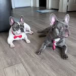 Molly&Lucas - @molly06lucas05 - Instagram