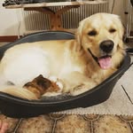 Molly Lundberg - @lundbergmolly - Instagram