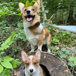 Molly & Mackey - @mackey_and_molly_14 - Instagram