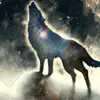 molly Mackey 🐴🐴🌌 - @itisjust - TikTok