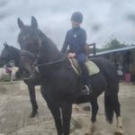 mollymackey - @mollymackey6 - Instagram