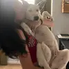 molly.marshhh - @molly.marshhh - TikTok