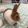 Molly Mayo - @molly.mayo - TikTok