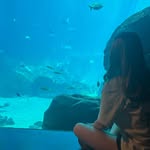 molly mccracken - @mollatees_ - Instagram