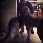 Molly Mccurdy - @mollyt_mccurdy - Instagram