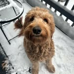 Molly McNabb - @mollymcnabb - Instagram