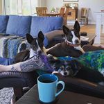 Scott Wilkins - @molly_maddie_mcnab - Instagram