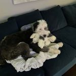Molly McNamee - @mollymcnamee123 - Instagram