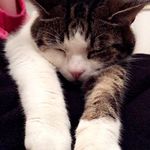 Molly McNulty - @mollymcnultys_gram - Instagram