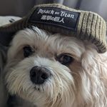 Molly Mcqueen - @molly_mcqueen95 - Instagram