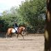 Molly McQueen - Facebook