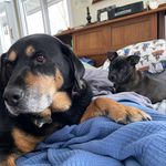 Molly and Elsie Meehan - @molly.and.elsie - Instagram