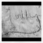 Molly Meehan - @molly_meehan972 - Instagram