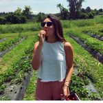 Molly Meehan MS, RD, LDN - @mollsmeals_ - Instagram