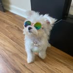Molly Mello - @molly__mello - Instagram