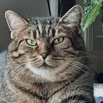 Millie Milliken - Facebook