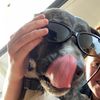 molly_milney - @molly_milney - TikTok