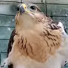 Mel Mistretta - @mel.mistretta - TikTok